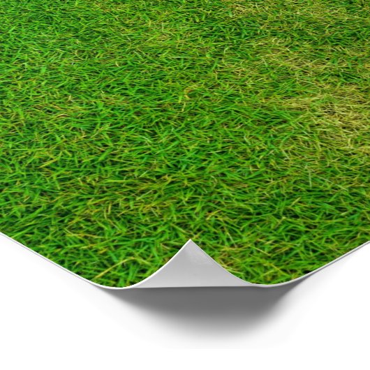 Rasenfläche Poster (Ecke)
