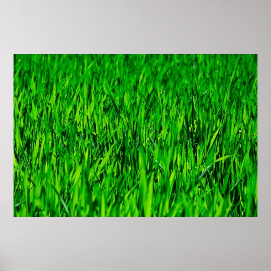 Rasenfläche Poster (Vorne)