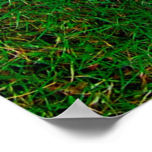 Rasenfläche Poster (Ecke)