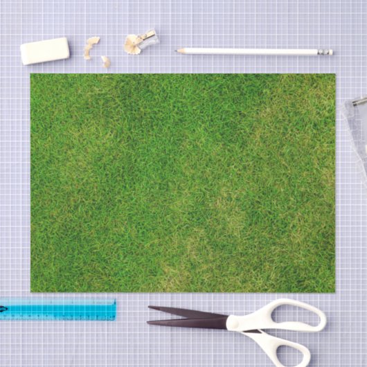 Rasenfläche Seidenpapier (Handwerk)