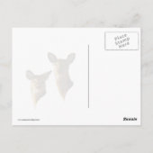 Rasenflächen Postkarte (Rückseite)