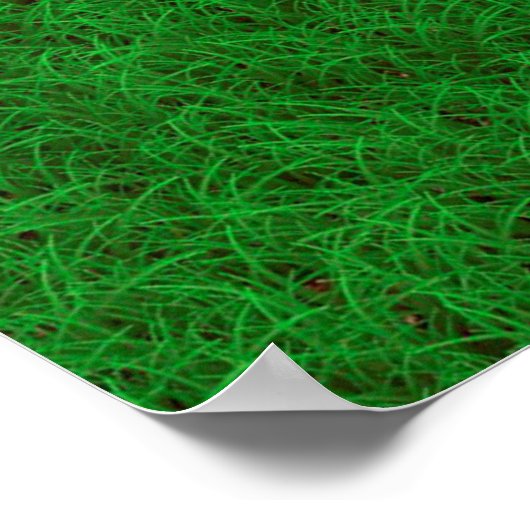 Rasengrashintergrund Poster (Ecke)