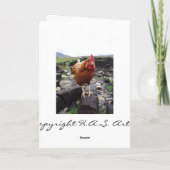 Rasenhuhn, Irland Karte (Rückseite)