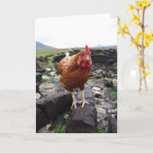 Rasenhuhn, Irland Karte (Gelbe Blume)