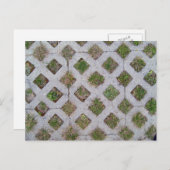 Rasenpflaster mit karierten Mustern Postkarte (Vorne/Hinten)