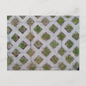 Rasenpflaster mit karierten Mustern Postkarte (Vorderseite)