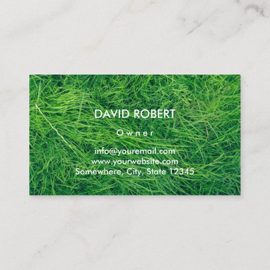 Rasenpflege und Landung Beruflicher Rasenmäher Visitenkarte (Rückseite)