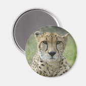 Rasenruhen Magnet (Vorderseite/Rückseite)