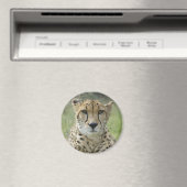 Rasenruhen Magnet (In Situ (Geschirrspüler))