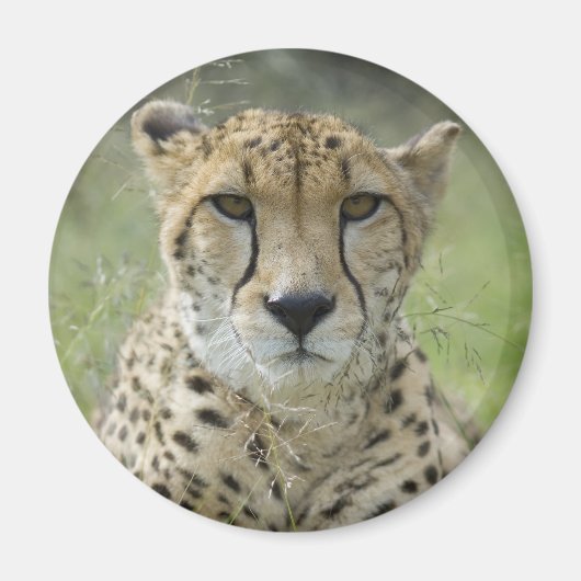 Rasenruhen Magnet (Vorne)