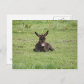 Rasenruhen Postkarte (Vorne/Hinten)