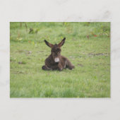 Rasenruhen Postkarte (Vorderseite)