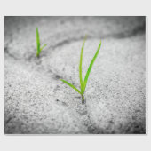 Rasensteine Geschenkpapier (Flach)