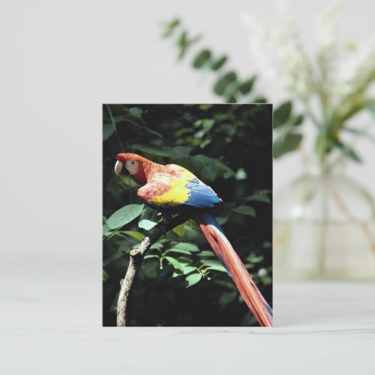 Rasierapparat Postkarte (Stehend Vorderseite)