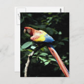 Rasierapparat Postkarte (Vorne/Hinten)