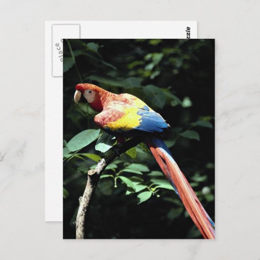 Rasierapparat Postkarte (Vorne/Hinten)