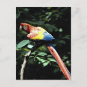 Rasierapparat Postkarte (Vorderseite)