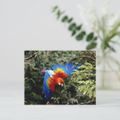 Rasierapparat Postkarte (Stehend Vorderseite)