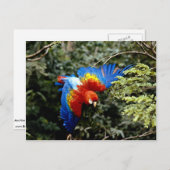 Rasierapparat Postkarte (Vorne/Hinten)