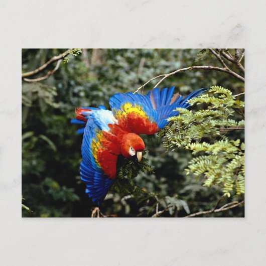 Rasierapparat Postkarte (Vorderseite)