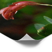 Rasierbaum Poster (Ecke)