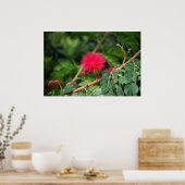 Rasierbaum Poster (Küche)