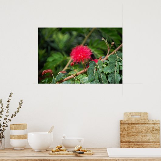 Rasierbaum Poster (Küche)