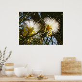 Rasierbaum Poster (Küche)