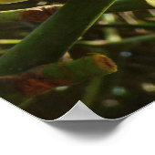 Rasierbaum Poster (Ecke)