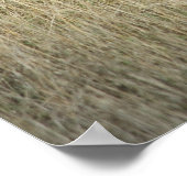 Rasierende Kuh - Poster (Ecke)