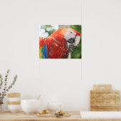 Rasierfuß Poster (Küche)