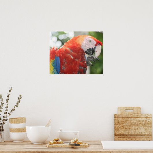 Rasierfuß Poster (Küche)