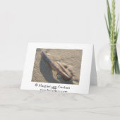 Rasiermessermuschel Karte (Rückseite)