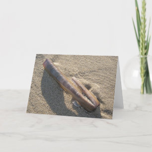 Rasiermessermuschel Karte