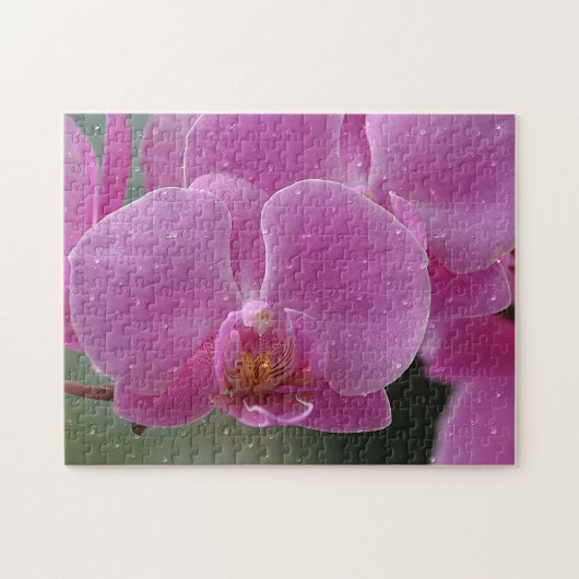 Rasierropfen auf dem Orchideenrätsel Puzzle (Horizontal)