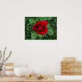 Rasierropfen auf einer Rote Rose Poster (Küche)