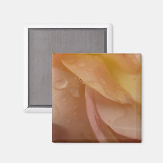 Rasierropfen auf Rose Petals Pink Peach Floral Magnet (Vorderseite/Rückseite)