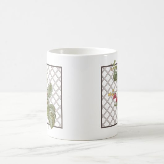 RASPBERRIES KAFFEETASSE (Mittel)