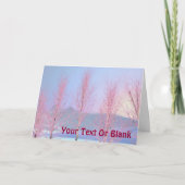 Raspberry Creme Birch Feiertagskarte (Vorderseite)