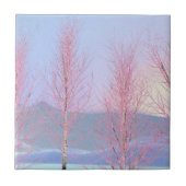 Raspberry Creme Birch Fliese (Vorderseite)