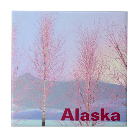 Raspberry Creme Birch Fliese (Vorderseite)