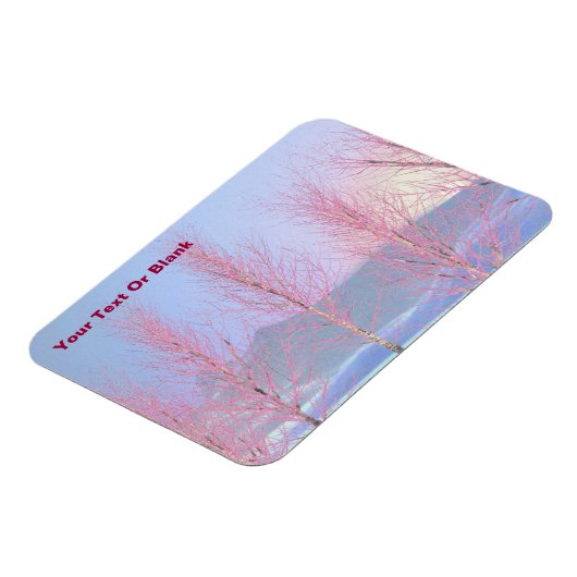 Raspberry Creme Birch Magnet (Linke Seite)