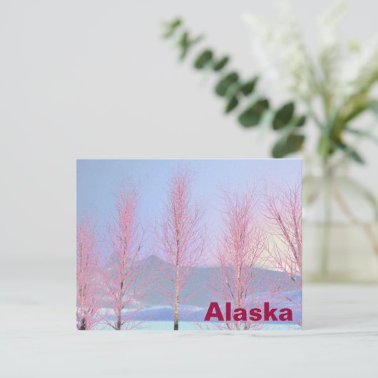 Raspberry Creme Birch Postkarte (Stehend Vorderseite)