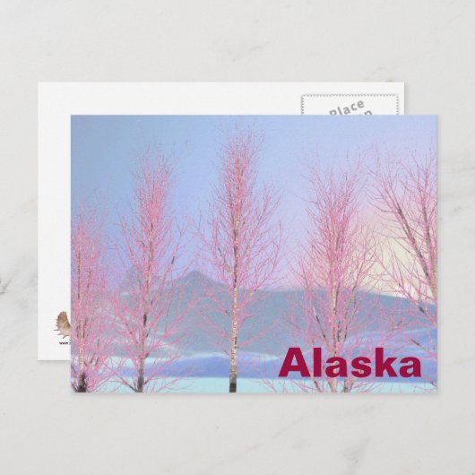 Raspberry Creme Birch Postkarte (Vorne/Hinten)