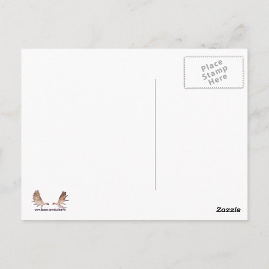 Raspberry Creme Birch Postkarte (Rückseite)