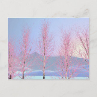 Raspberry Creme Birch Postkarte