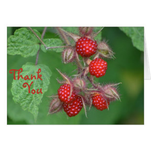 Raspberry Danke-Card
