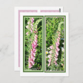 RASPBERRY FOXGLOVE LESEZEICHEN POSTKARTE (Vorne/Hinten)