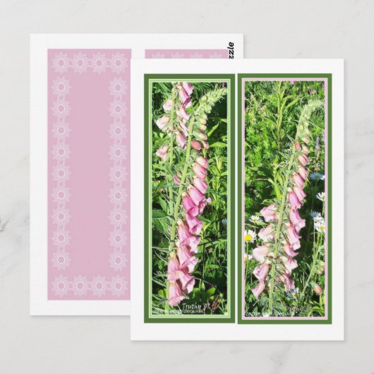 RASPBERRY FOXGLOVE LESEZEICHEN POSTKARTE (Vorne/Hinten)