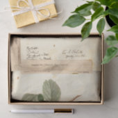 Raspberry Illustration von USDA 1908 Seidenpapier (Geschenk)